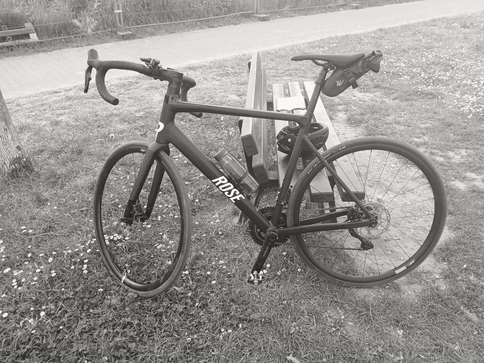 Rose Reveal AL 105 Di2, leaning on a bench in Saarlouis
